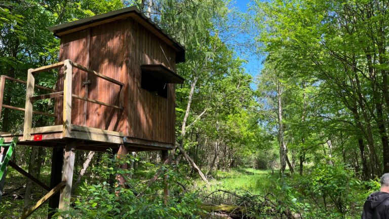 Auf Jagd in der Darmstädter Dunkelheit