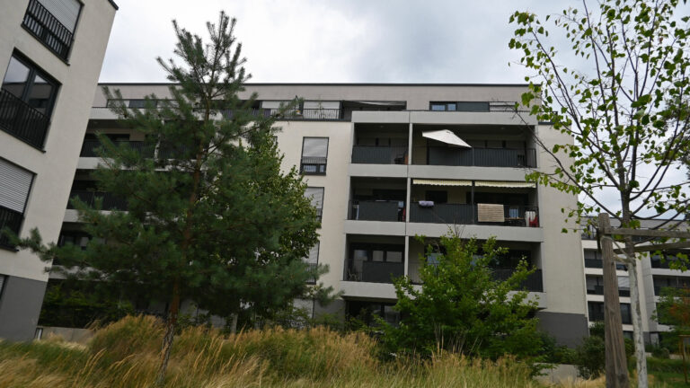 Wie viel Schwammstadt steckt in Darmstadt?